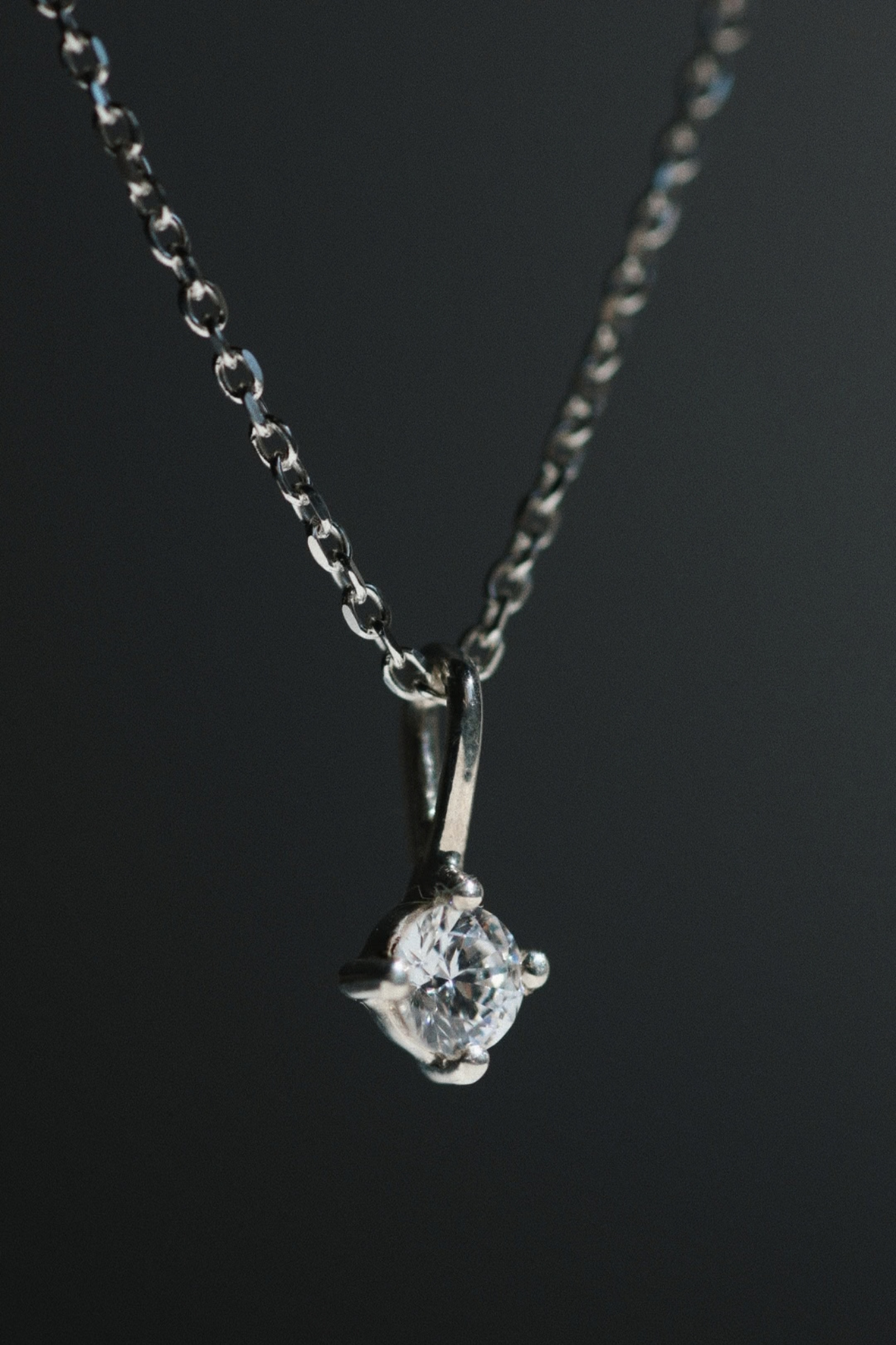 COLGANTE ESTRELLA POLAR - Imagen 2